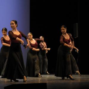 Fotografía de Talleres Danza Española (galería 2) - Conservatorio de Danza